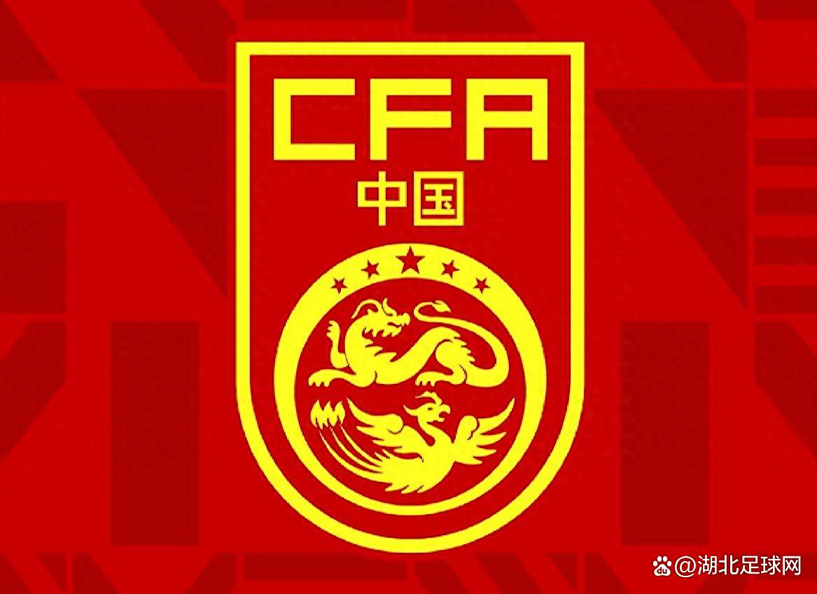八戒体育-比亚迪赞助海选未来，为中国足球事业尽一份力量！(比亚迪参访)